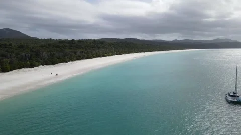 Whitehaven Beach 01 Video stock 229394482