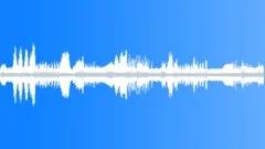 WhiteHeaded Duck Display CallsSound Effect