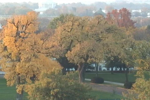 Whitehouse 3 스톡 동영상 564356