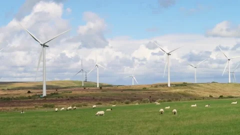 Whitelee Wind Far, Eaglesham Moor, near Glasgow, Scotland, UK Stock Footage 205026087