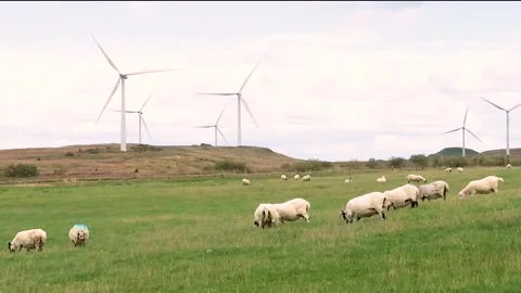 Whitelee Wind Far, Eaglesham Moor, near Glasgow, Scotland, UK Stock Footage 205026101