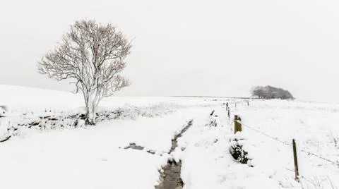 Whiteout Stock Photos