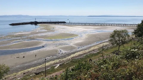 Whiterock Beach Tide Out 2 1 Stock Footage 115447856