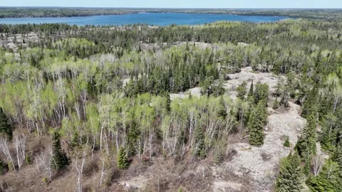 Whiteshell Provincial Park Manitoba Boreal Swamp Aerial Rising Toward Lake 스톡 동영상 332223331