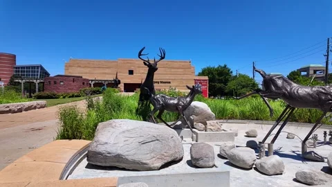Whitetail deer bronze statue at Eiteljorg Museum in Indianapolis, Indiana Stock-Footage 347788877