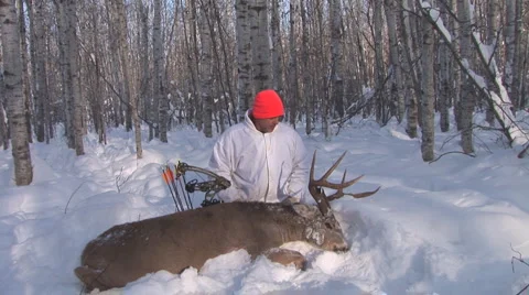 Whitetail Deer Hunter Stock Footage