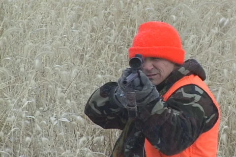 Whitetail Deer Hunter Video stock 980663