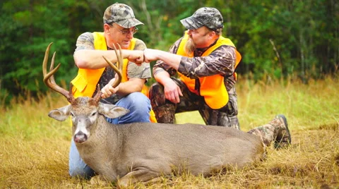 Whitetail Deer Hunter Stock Footage 56831088