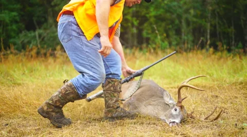 Whitetail Deer Hunter Stock Footage 57811145