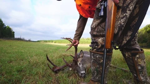 Whitetail Deer Hunter Stock Footage 81664727