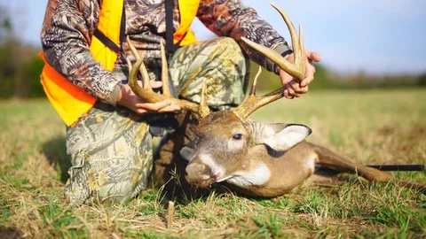 Whitetail Deer Hunter Stock Footage 82799381