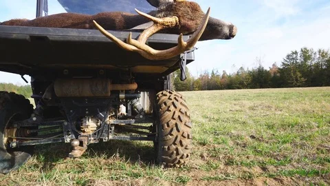 Whitetail Deer Hunter Stock Footage 82805519