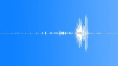 WhiteTailed Sea Eagle AgitatedSound Effect