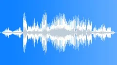 WhiteTailed Sea Eagle CU Sound Effect