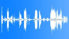WhiteTailed Sea Eagle DistantSound Effect