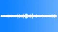 WhiteTailed Sea Eagle EagleSound Effect