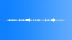 WhiteTailed Sea Eagle EagleSound Effect