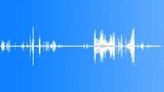 WhiteTailed Sea Eagle RavensSound Effect