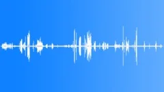 WhiteTailed Sea Eagle RavensSound Effect