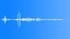 WhiteTailed Sea Eagle RavensSound Effect