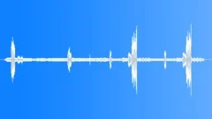 WhiteThroated Sparrow MCU Song Sound Effect