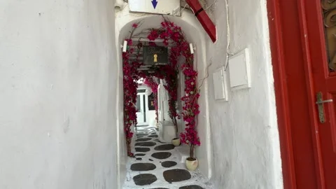 Whitewashed Arched Passage with Pink Bougainvillea Mykonos Greece Stock Footage 346732756