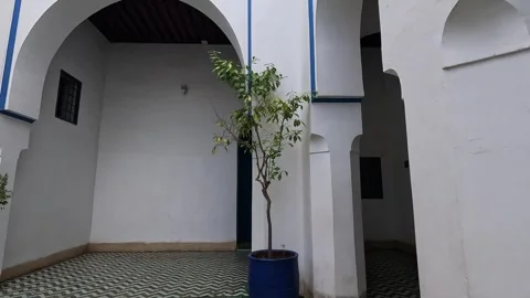 Whitewashed courtyard with a potted citrus tree and blue door at the Bahia Stock Footage 344532615
