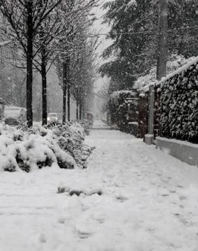 Whitewashed road after a heavy snowfall in winter Stock Photos