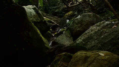 Whitewater flowing over rocks in small river at Gurulupotha, Sri Lanka Stock Footage 76354086