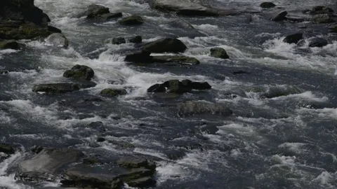 Whitewater flowing from river dam Stock Footage 74831855