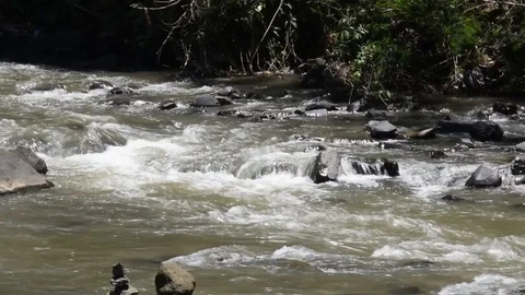 Whitewater flowing on river rocks 3 Stock Footage 81691103