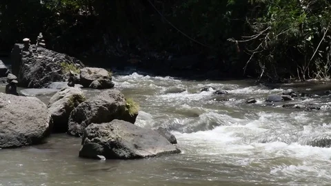 Whitewater flowing on river rocks Vídeo Stock 81691102