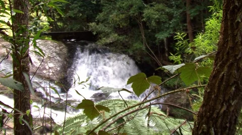 Whitewater Stock-Footage 1068675