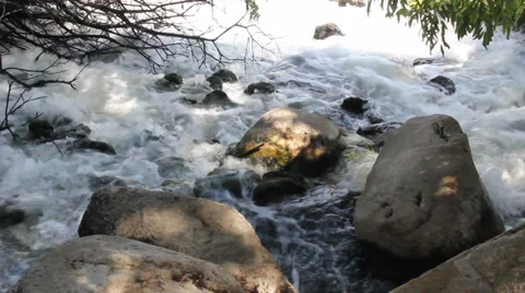 Whitewater over rocks under tree branches - breeze Stock Footage 39384256