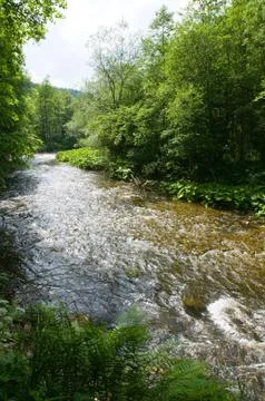 Whitewater Stock Photos