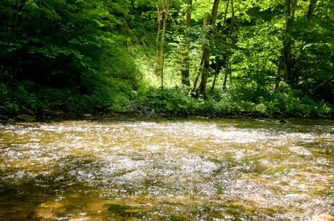 Whitewater Stock Photos