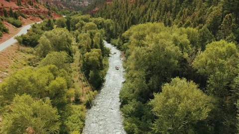 Whitewater rafting on a river through a forest in the summer Stock Footage 154898620