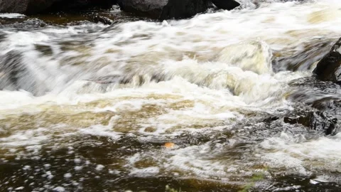 Whitewater rapids Stock Footage 163133626