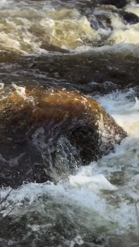 Whitewater Rapids Rushing Around Large River Boulder Stock Footage 346503082