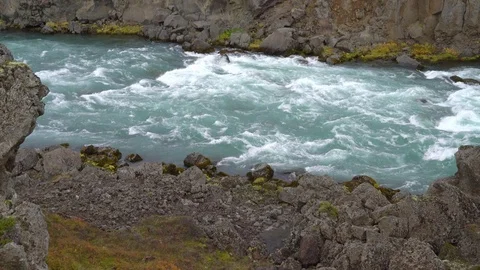 Whitewater river Stock Footage 73266495