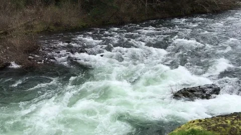 Whitewater river green forest Vídeos de archivo 76504766