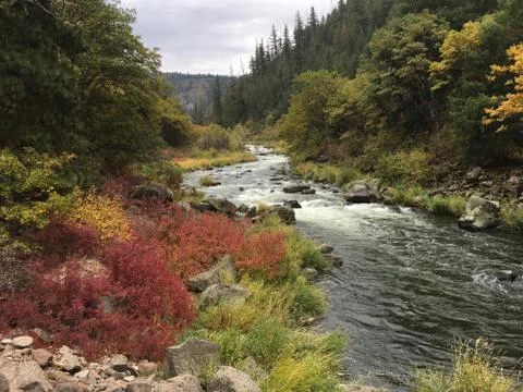 Whitewater river Stock Photos