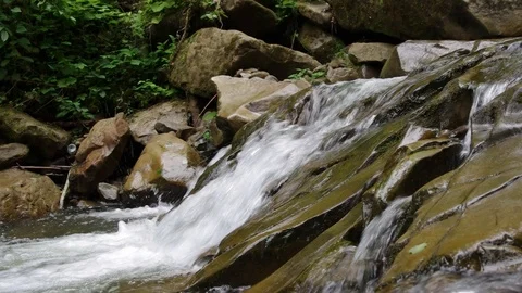Whitewater river rapids. Smooth rocks. Closeup shot. Carpathian Mountains Video stock 119453808