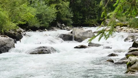 Whitewater rushing through forest in mountain river Stock Footage 283317954