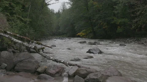 Whitewater Stream Cutting Through Oregon Forest in Autumn Vídeos de archivo 333424415