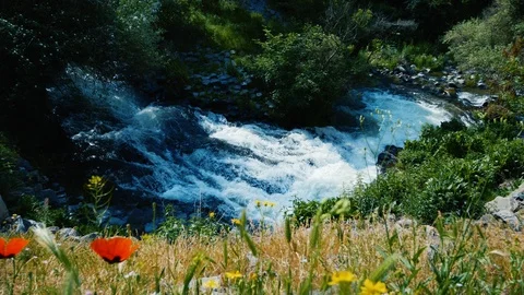 Whitewater stream of river flowing between trees in Armenian mountains. top view 库存影片 94425405