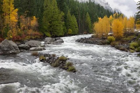 Whitewater on the Wenatchee River. Stock Photos