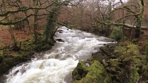 WhiteWaterRapidsConway Stock Footage 250801703