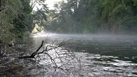 Whitewaters rapids at Caburgua river inside Chilean Patagonia rainforest Stock-Footage 117447338