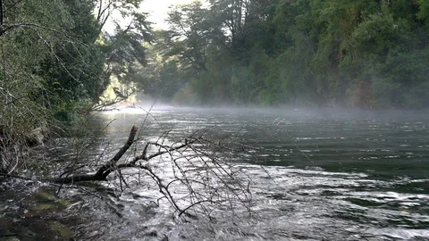 Whitewaters rapids at Caburgua river inside Chilean Patagonia rainforest Stock-Footage 117461282